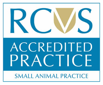 RCVS Accredited Small Animal Practice